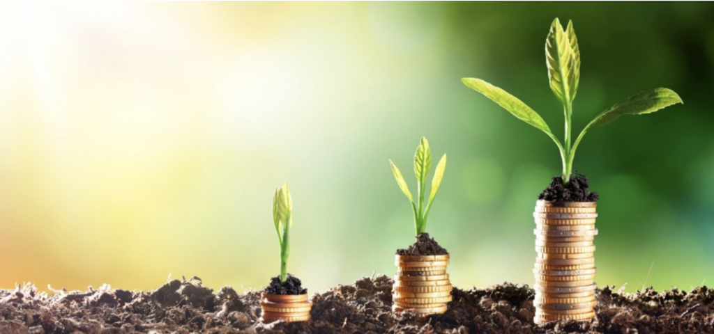 seed, series a, investment analogy