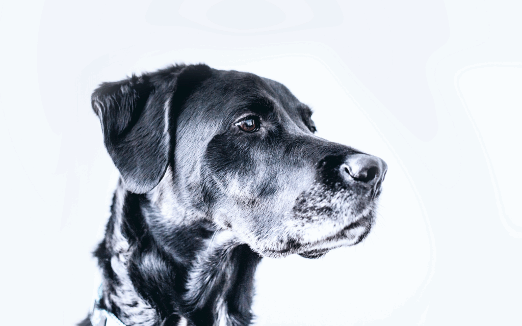 What to Think About When Designing a Profile Page for Your Users