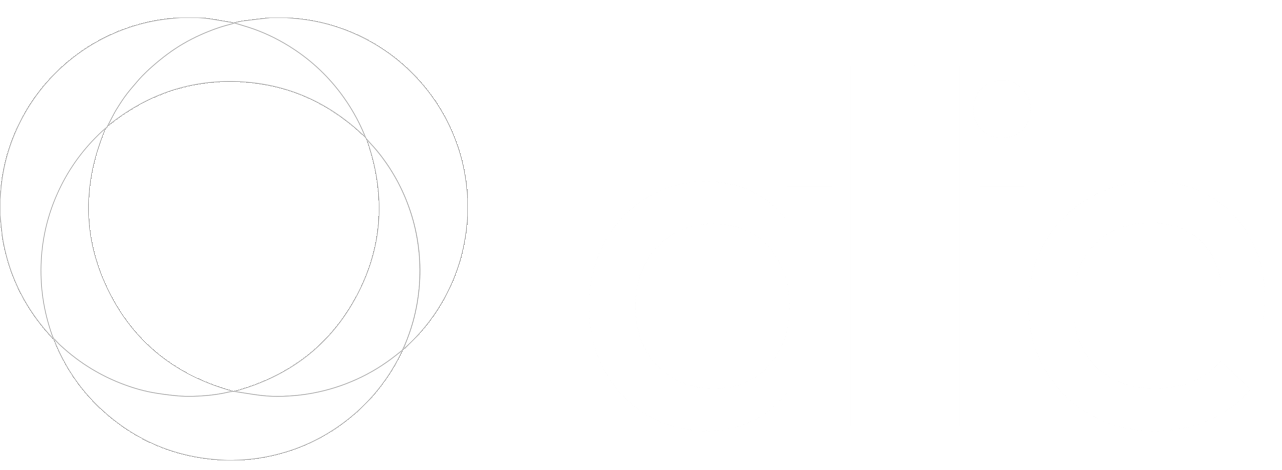 Allie Systems logo