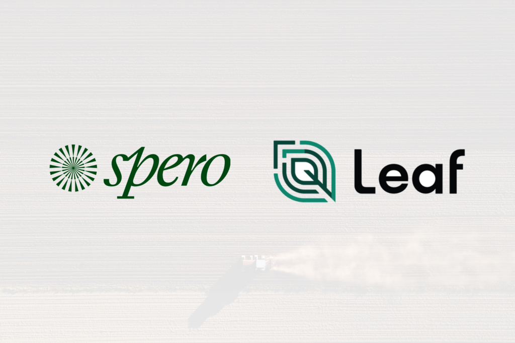 Why We Invested in Leaf